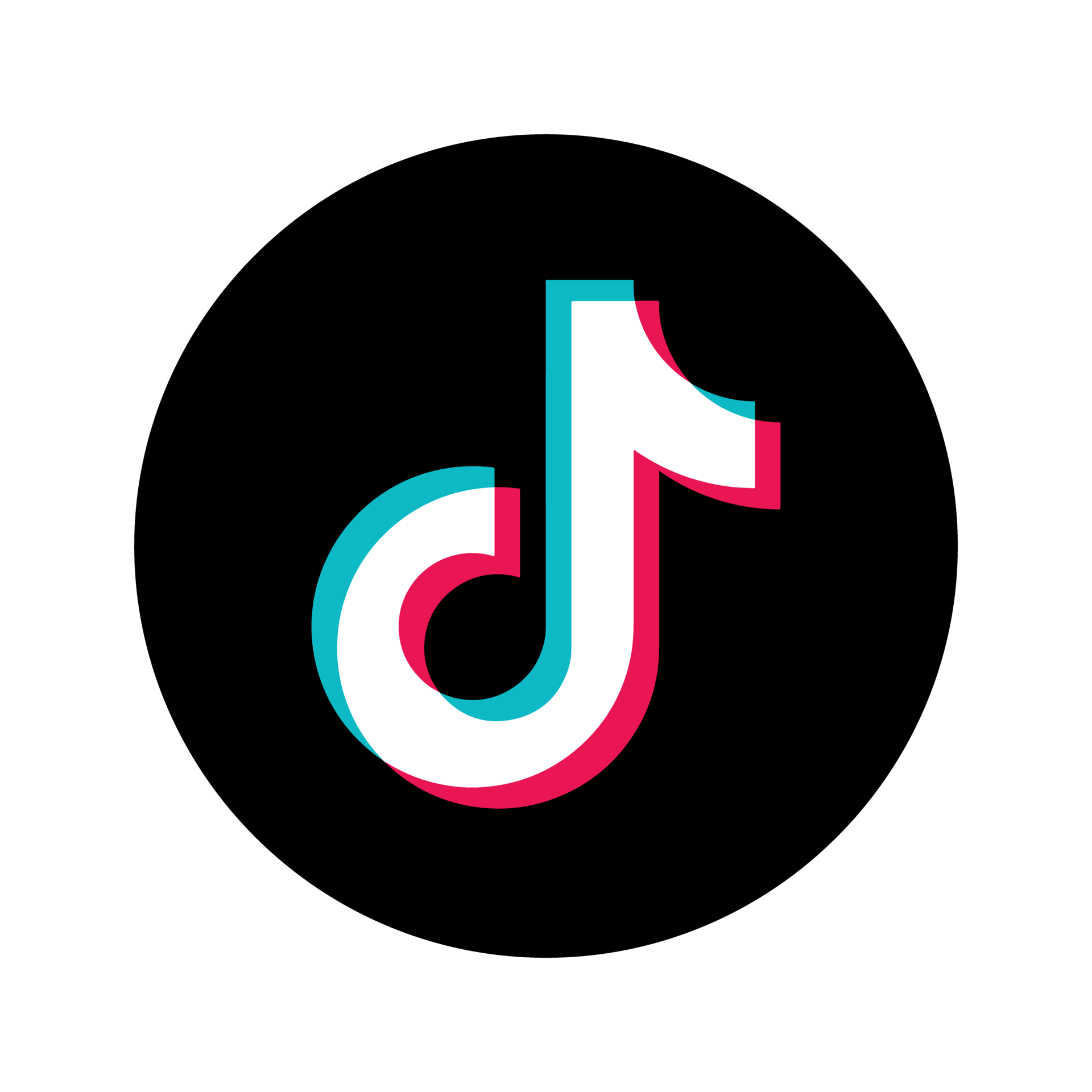 Tiktok 100 real takipçi (Zəmanət yoxdur)